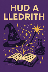 Hud a Lledrith Book Cover
